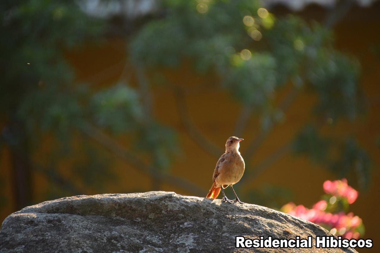 Residencial Hibiscos - Vista Mar Villa Garopaba Ngoại thất bức ảnh